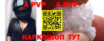 гашик Нальчик