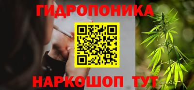 гашик Нальчик