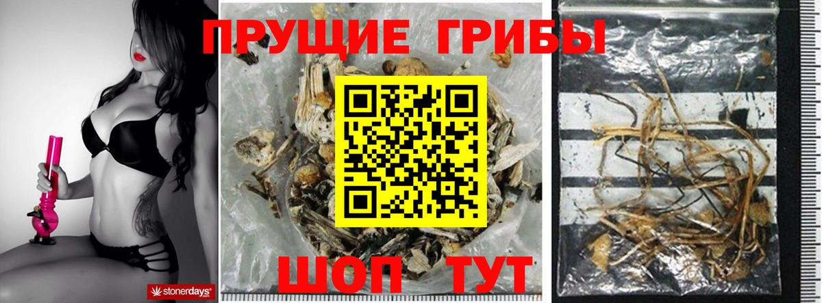 Псилоцибиновые грибы GOLDEN TEACHER Ухта